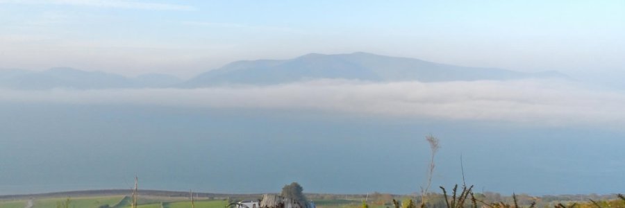 what is in your nature ?