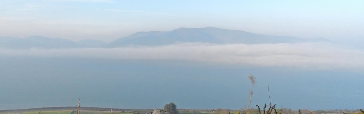 what is in your nature ?