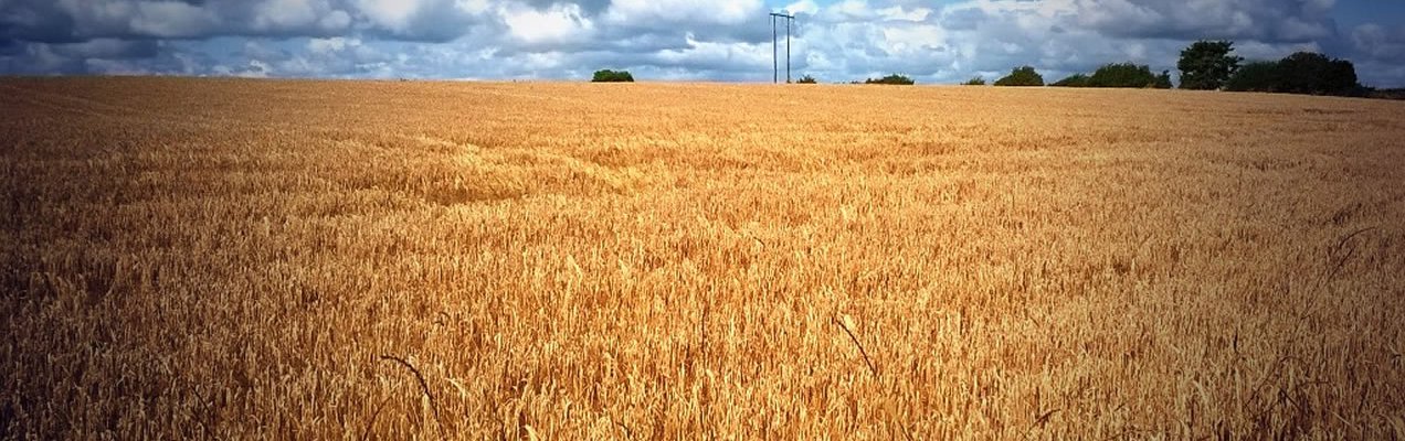 Notes from the Notepad: The Poem of Sailor