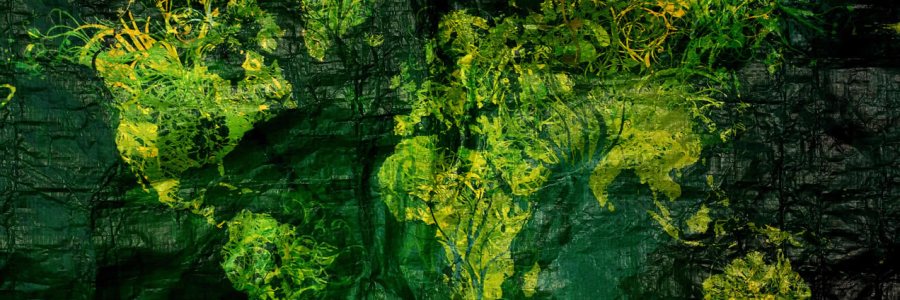 Photography 101, Day 1: Home, Class of November