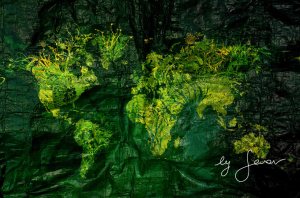 Photography 101, Day 1: Home, Class of November