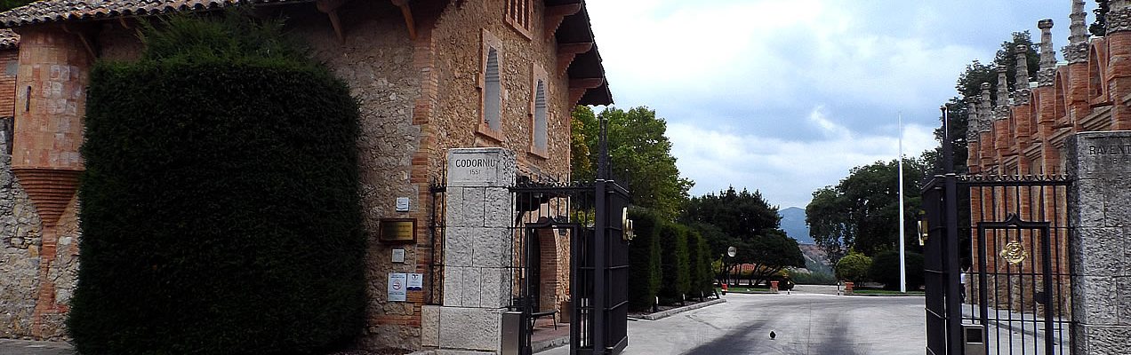 Codorniu 1551 vineyard in Spain