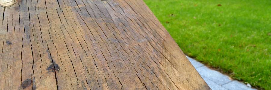 Oak wood wide in Co. Laois